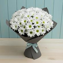 Букет цветов из:  Хризантемы в Самаре