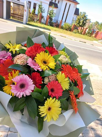 Букет цветов из: Герберы в Самаре